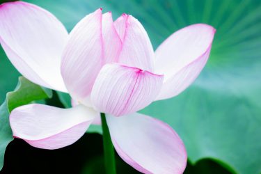 天地祝詞